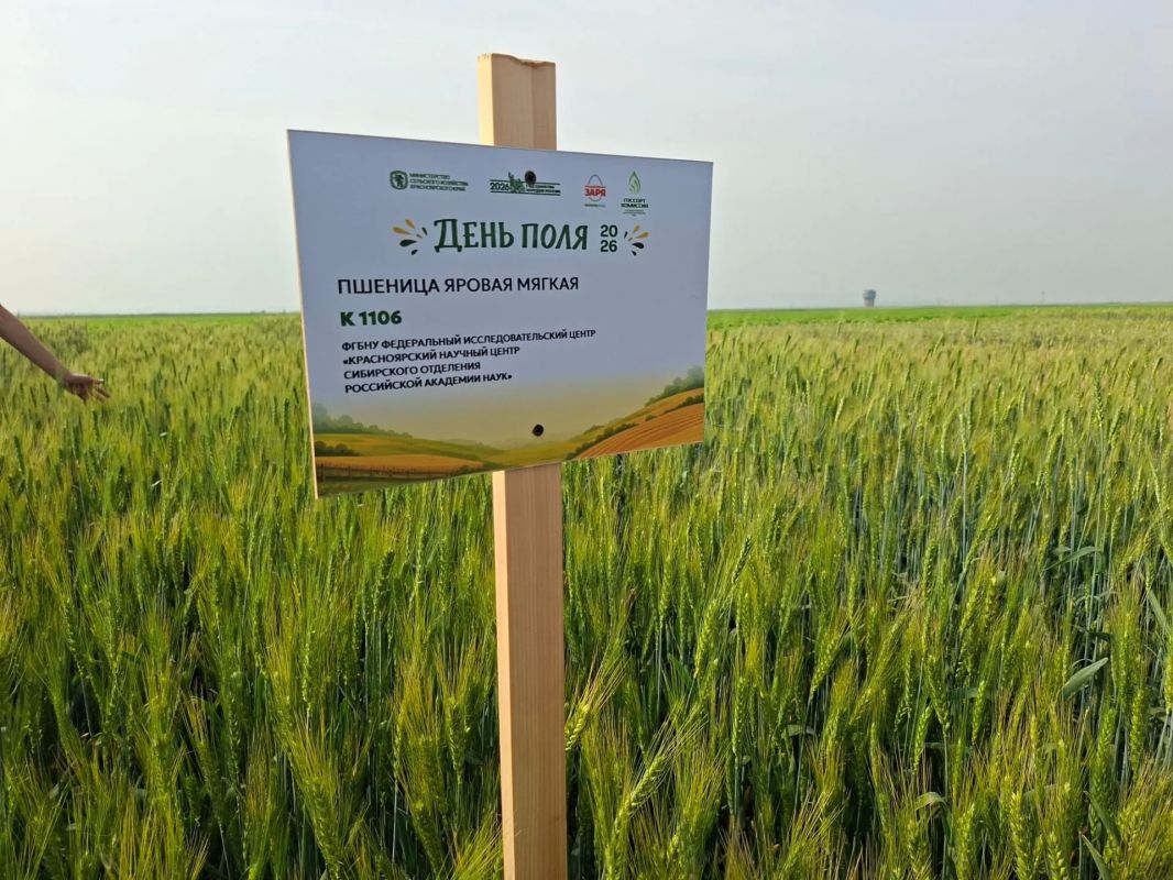 Стартовала пракическая часть краевого сельскохозяйственного форума "День поля 2026" Стартовала пракическая часть краевого сельскохозяйственного форума "День поля 2026"