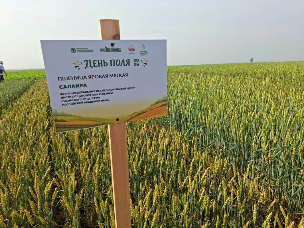 Стартовала пракическая часть краевого сельскохозяйственного форума "День поля 2026" Стартовала пракическая часть краевого сельскохозяйственного форума "День поля 2026"
