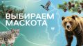 Красноярцам предлагают выбрать маскота для аэропорта