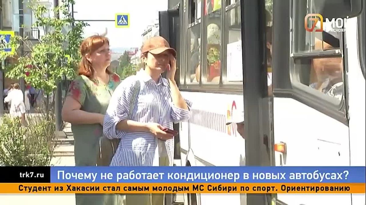 Красноярцы снова стали замечать летучих мышей