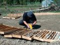 Продолжаем наши «вести с полей»