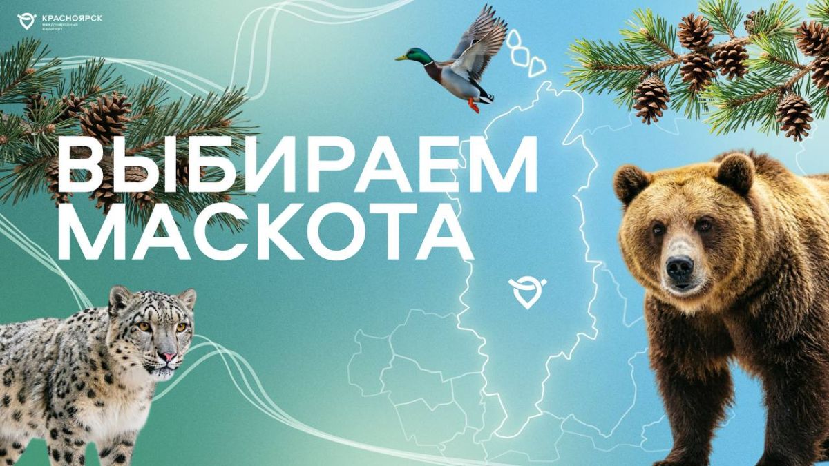 Красноярцам предлагают выбрать маскота для аэропорта
