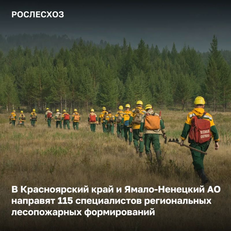 В регионах со сложной лесопожарной обстановкой продолжается усиление группировок для тушения лесных пожаров