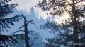 Площадь лесных пожаров в Красноярском крае за сутки выросла на 26,1 тыс