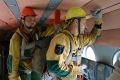 За минувшие сутки специалисты лесопожарных служб ликвидировали на севере региона 59 лесных пожаров
