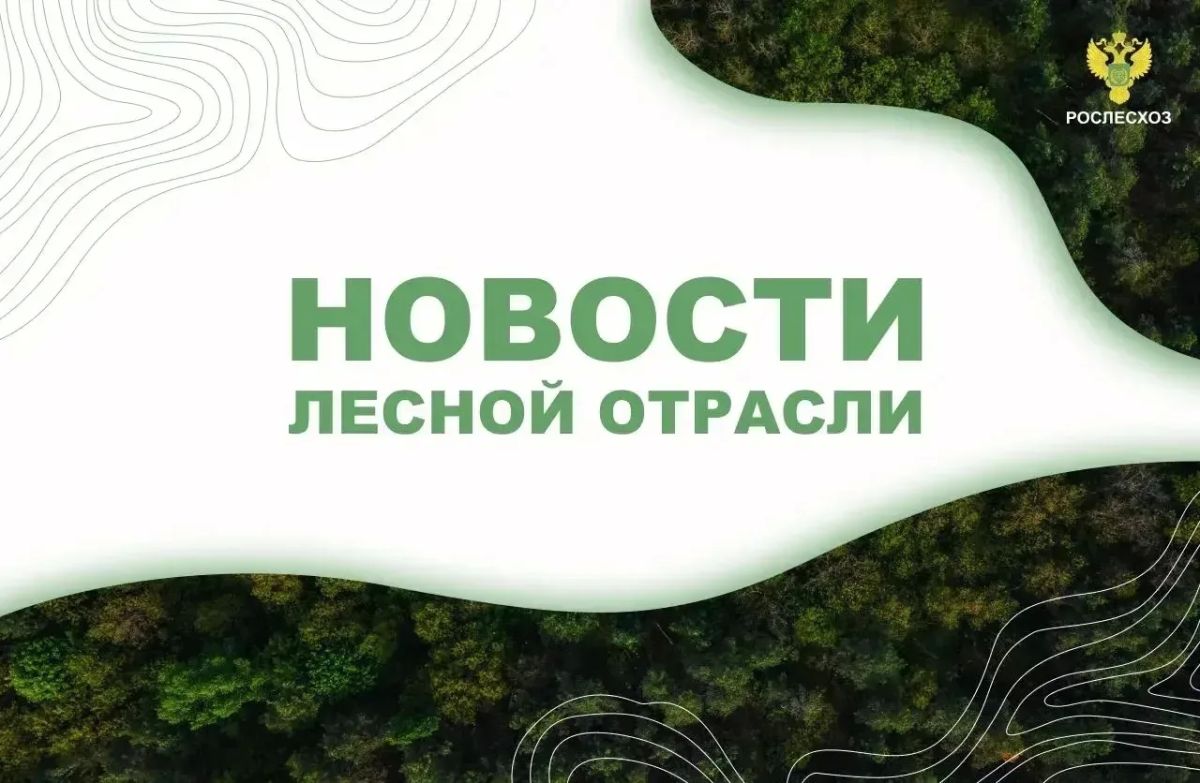 AK&M: Рослесхоз: в Красноярский край и Ямало-Ненецкий АО направят 115 специалистов региональных лесопожарных формирований