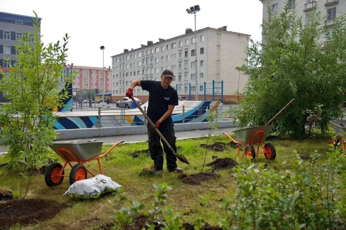 Дмитрий Карасёв: Друзья!. Наш город стал заметно зеленее Дмитрий Карасёв: Друзья!. Наш город стал заметно зеленее