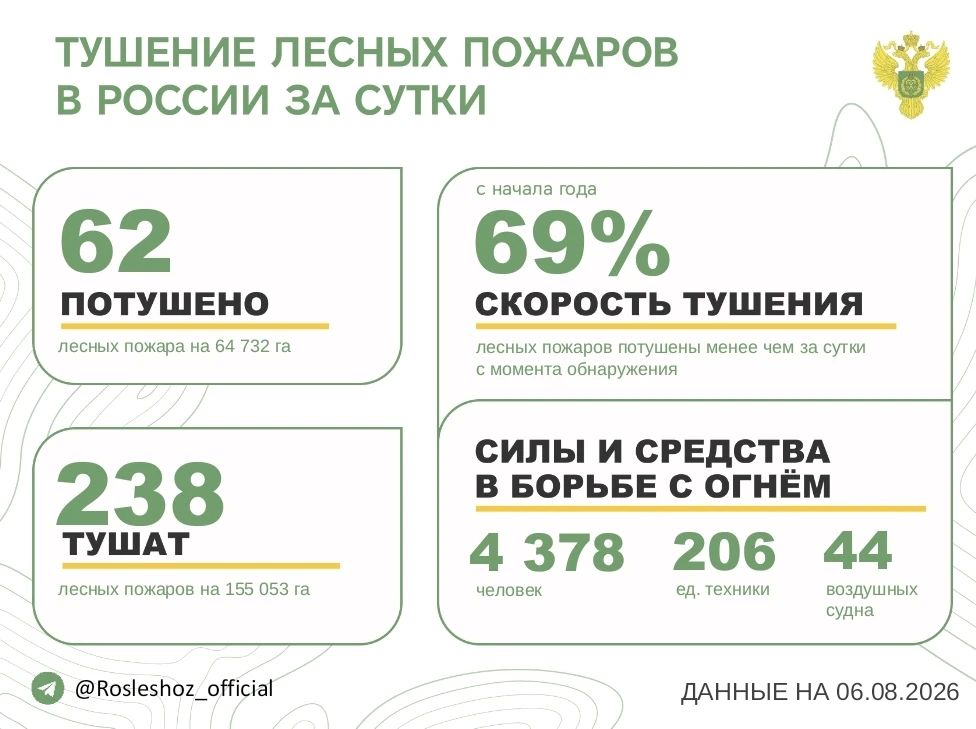 За прошедшие сутки в 17 регионах России потушили 62 лесных пожара