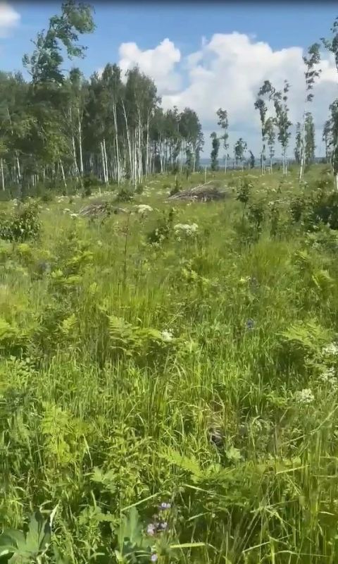 Порядок в лесу: нарушений становится меньше! Порядок в лесу: нарушений становится меньше!