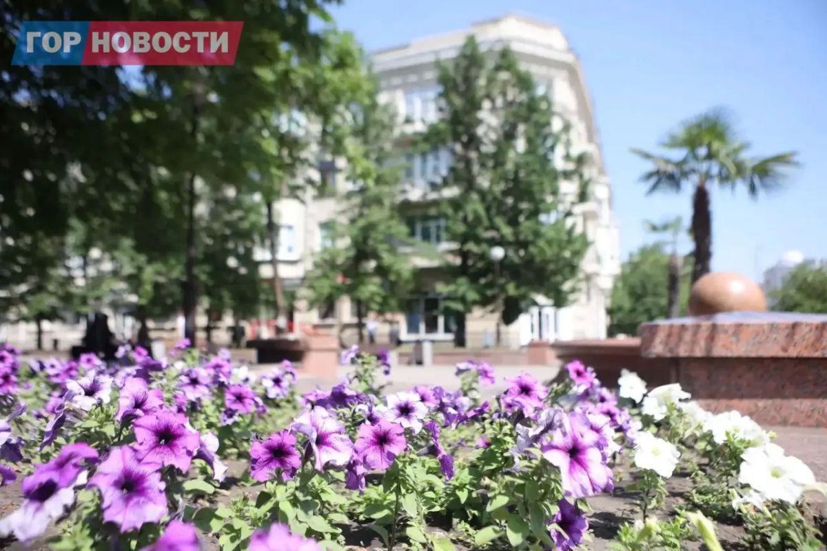 В Красноярске высадили около 300 тысяч цветов В Красноярске высадили около 300 тысяч цветов