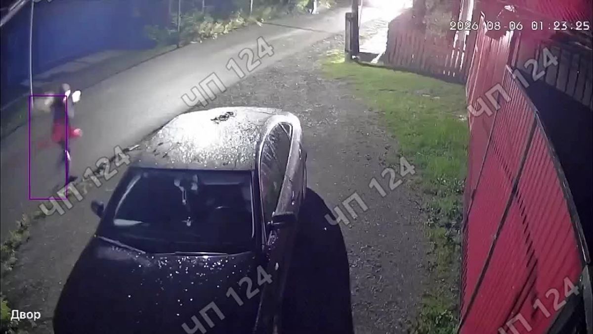 В селе Белый Яр Ачинского округа медведица едва не напала на мужчину