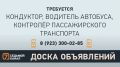 «7 канал Красноярск»: На сайте |