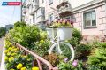 Представьте ситуацию: жительница дома решила украсить двор и посадила цветы у подъезда