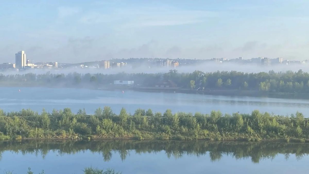 Доброе туманное утро!