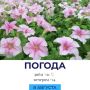 Погода сегодня. @gornovosti «Горновости» в ВК | «Горновости» в МАХ
