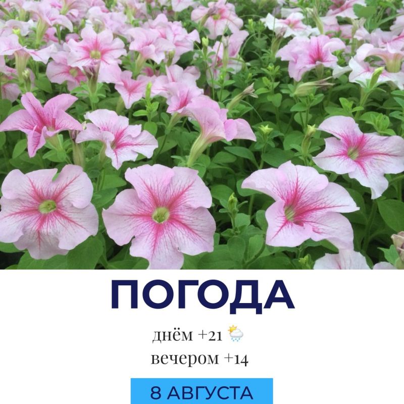 Погода сегодня. @gornovosti «Горновости» в ВК | «Горновости» в МАХ