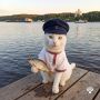 Когда котистик отправится. в отпуск, он никому не скажет, но будут будут знаки...На Волге я не только отдыхаю, но и погружаюсь в местную статистику
