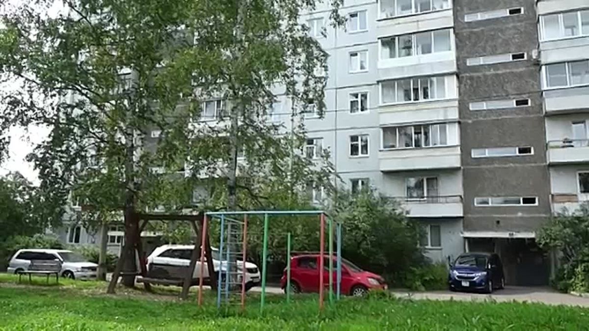 ЯДОВИТЫЕ ЗМЕИ ВЫПОЛЗАЮТ В ЖИЛЫЕ РАЙОНЫ КРАСНОЯРСКА