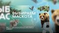 ДАЙДЖЕСТ. О событиях, произошедших на минувшей неделе, о которых мы не расскажем в нашем выпуске подробно, вы можете узнать из краткого недельного обзора новостей