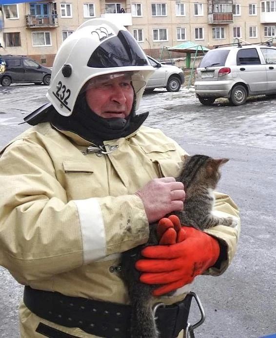 Пожарные Красноярского края показали своих хвостатых помощников Пожарные Красноярского края показали своих хвостатых помощников