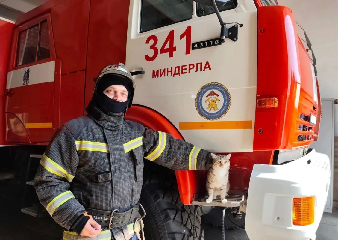 Пожарные Красноярского края показали своих хвостатых помощников Пожарные Красноярского края показали своих хвостатых помощников