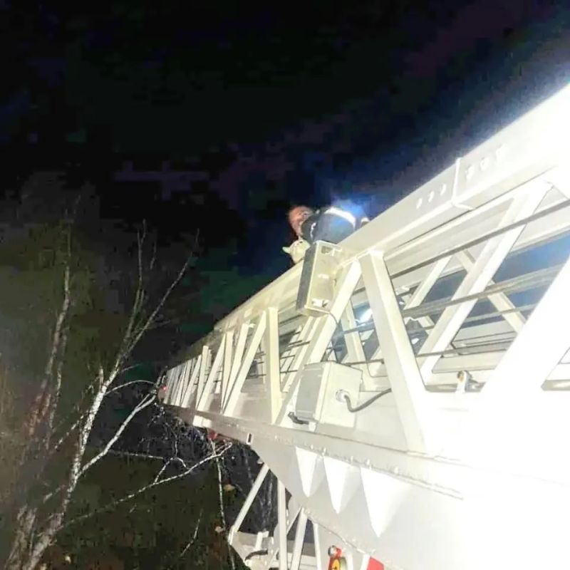 Пожарные Красноярского края показали своих хвостатых помощников Пожарные Красноярского края показали своих хвостатых помощников