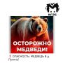 Мужчина сообщил о нападении медведя на своего друга у Маганска и пропал