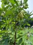 � 2023 ���� �� ���������� ������������ ����������� �������� ������� � ������ ����� ���� ������