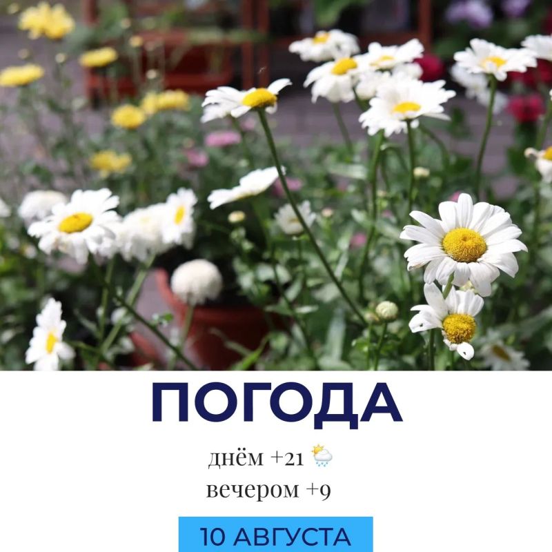 Погода на сегодня