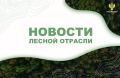 AK&M: Рослесхоз: в лесах России начнут обустраивать "народные тропы" без рубки деревьев