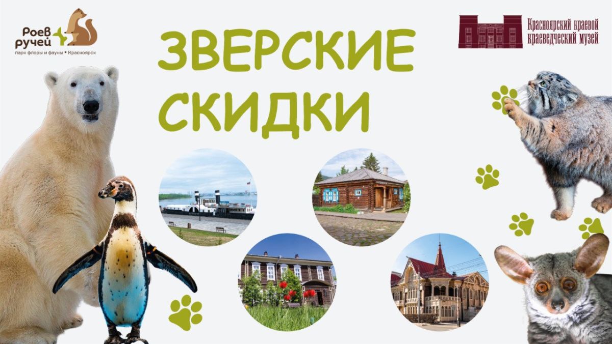Зверская акция от «Роева ручья»