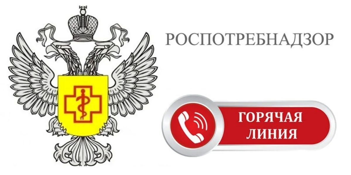 В Красноярском крае до 21 августа работает горячая линия Роспотребнадзора по вопросам безопасности детских товаров и школьных принадлежностей