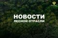 AK&M: Рослесхоз: сохранение и воспроизводство лесов - важная часть борьбы с опустыниванием