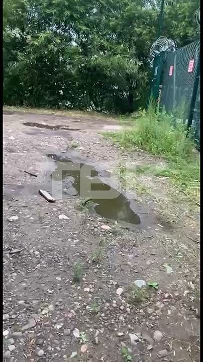 Остров Посадный в Красноярске завален мусором