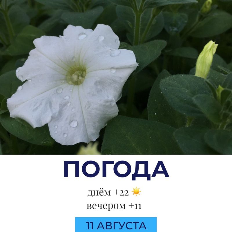 Погода сегодня. @gornovosti «Горновости» в ВК | «Горновости» в МАХ