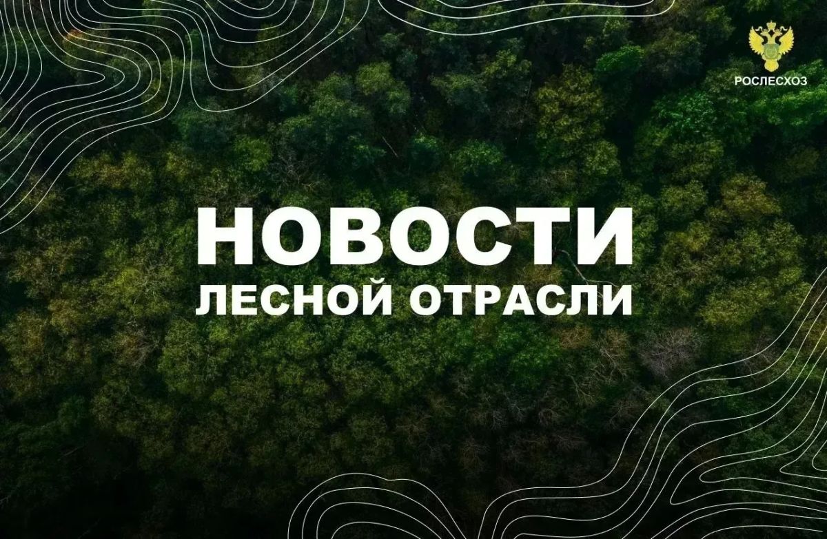 AK&M: Рослесхоз: сохранение и воспроизводство лесов - важная часть борьбы с опустыниванием