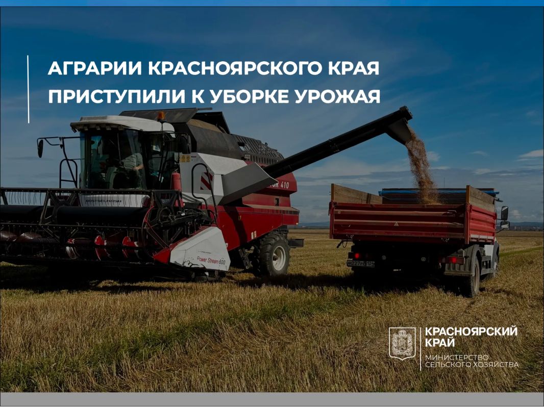 Уборочная кампания стартовала в 12 округах края