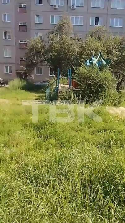 Трава во дворе на Устиновича выросла выше пояса
