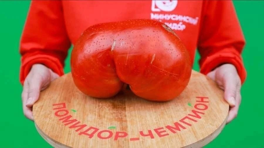 В Минусинске 15 августа пройдёт краевой фестиваль «День минусинского помидора» В Минусинске 15 августа пройдёт краевой фестиваль «День минусинского помидора»