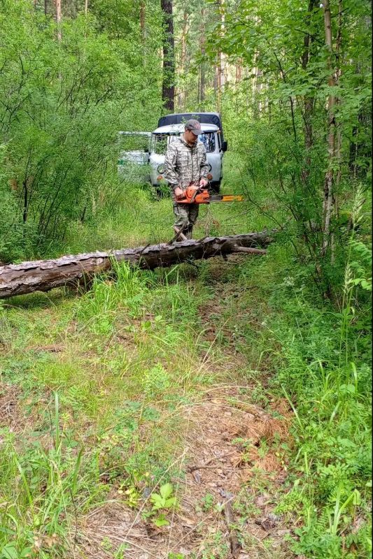 Рубрика "Кадр дня" - привет из Минусинского лесничества