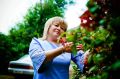 Рубрика #Служение. В рамках марафона #Служение рассказываем о Наталье Шпилько — старосте села Мурино
