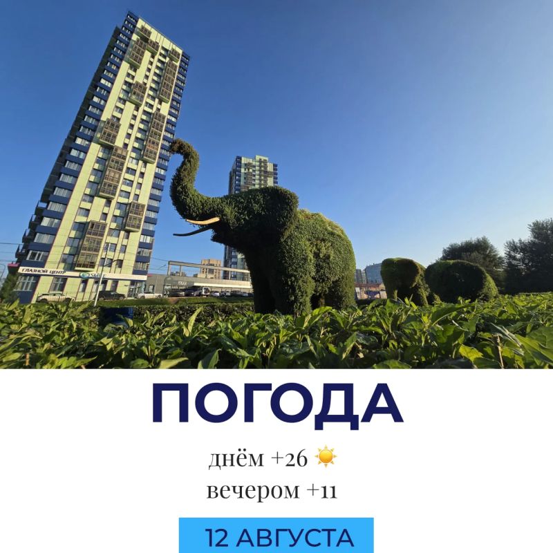 Погода сегодня