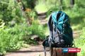 �������������� ����� � ��������� ��������� ������� ��������� ��� 14 �������