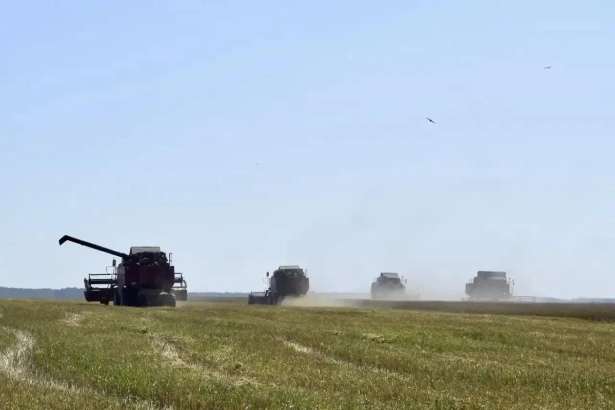 На полях — горячая пора. В Каратузском округе в поля вышли уже пять хозяйств На полях — горячая пора. В Каратузском округе в поля вышли уже пять хозяйств