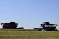 На полях — горячая пора. В Каратузском округе в поля вышли уже пять хозяйств