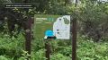 СТОЛБЫ ОШИБОК НЕ ПРОЩАЮТ. Национальный парк «Столбы» притягивает ежедневно сотни туристов, с их количеством растёт и количество происшествий
