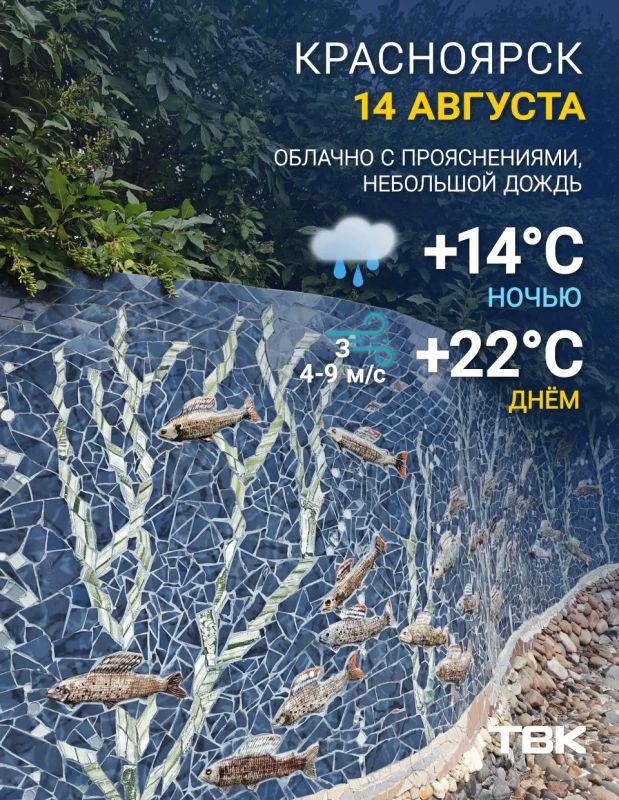 Погода на сегодня
