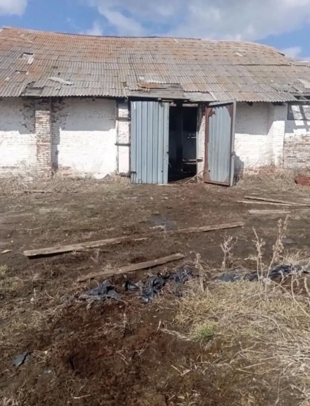Не ко двору: к 300 часам обязательных работ суд приговорил жителя Большемуртинско-Сухобузимского округа за кражу прибившегося к его участку коня Не ко двору: к 300 часам обязательных работ суд приговорил жителя Большемуртинско-Сухобузимского округа за кражу прибившегося к его участку коня