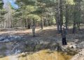 Не ко двору: к 300 часам обязательных работ суд приговорил жителя Большемуртинско-Сухобузимского округа за кражу прибившегося к его участку коня