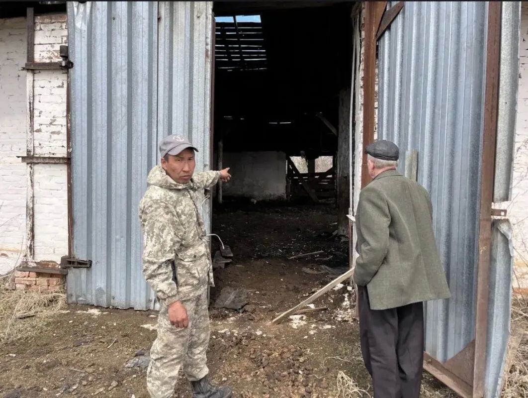 Не ко двору: к 300 часам обязательных работ суд приговорил жителя Большемуртинско-Сухобузимского округа за кражу прибившегося к его участку коня Не ко двору: к 300 часам обязательных работ суд приговорил жителя Большемуртинско-Сухобузимского округа за кражу прибившегося к его участку коня